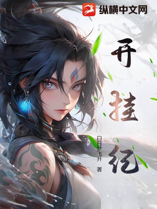 开挂纪